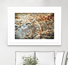 Retro Rust by PhotoINC Studio on GIANT ART - multicolor photography; floral/still life