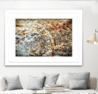 Retro Rust by PhotoINC Studio on GIANT ART - multicolor photography; floral/still life