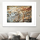 Retro Rust by PhotoINC Studio on GIANT ART - multicolor photography; floral/still life