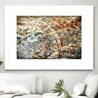 Retro Rust by PhotoINC Studio on GIANT ART - multicolor photography; floral/still life