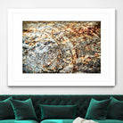 Retro Rust by PhotoINC Studio on GIANT ART - multicolor photography; floral/still life