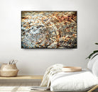 Retro Rust by PhotoINC Studio on GIANT ART - multicolor photography; floral/still life