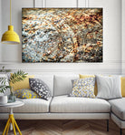 Retro Rust by PhotoINC Studio on GIANT ART - multicolor photography; floral/still life