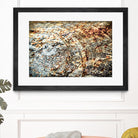Retro Rust by PhotoINC Studio on GIANT ART - multicolor photography; floral/still life