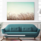 Retro Grass by PhotoINC Studio on GIANT ART - multicolor photography; landscapes