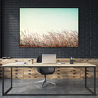 Retro Grass by PhotoINC Studio on GIANT ART - multicolor photography; landscapes