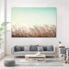 Retro Grass by PhotoINC Studio on GIANT ART - multicolor photography; landscapes