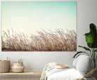 Retro Grass by PhotoINC Studio on GIANT ART - multicolor photography; landscapes