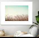 Retro Grass by PhotoINC Studio on GIANT ART - multicolor photography; landscapes