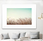 Retro Grass by PhotoINC Studio on GIANT ART - multicolor photography; landscapes
