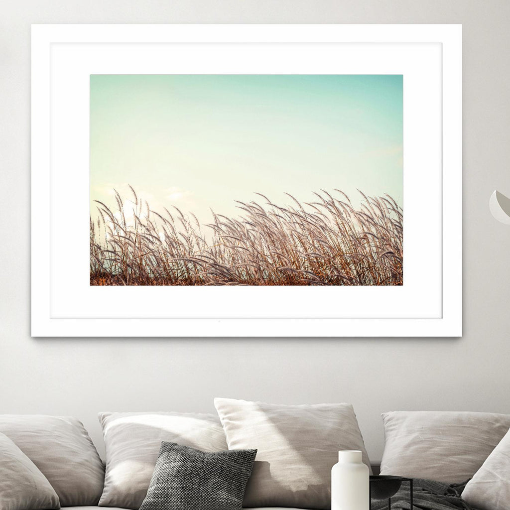 Retro Grass by PhotoINC Studio on GIANT ART - multicolor photography; landscapes