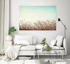 Retro Grass by PhotoINC Studio on GIANT ART - multicolor photography; landscapes
