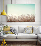 Retro Grass by PhotoINC Studio on GIANT ART - multicolor photography; landscapes