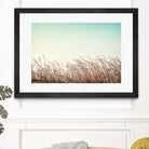 Retro Grass by PhotoINC Studio on GIANT ART - multicolor photography; landscapes