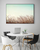 Retro Grass by PhotoINC Studio on GIANT ART - multicolor photography; landscapes