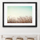 Retro Grass by PhotoINC Studio on GIANT ART - multicolor photography; landscapes