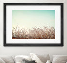 Retro Grass by PhotoINC Studio on GIANT ART - multicolor photography; landscapes