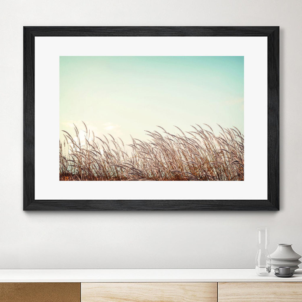 Retro Grass by PhotoINC Studio on GIANT ART - multicolor photography; landscapes