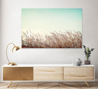 Retro Grass by PhotoINC Studio on GIANT ART - multicolor photography; landscapes