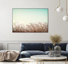 Retro Grass by PhotoINC Studio on GIANT ART - multicolor photography; landscapes