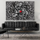 Alone by Vladimir Kostka on GIANT ART - multicolor photography; floral/still life