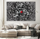 Alone by Vladimir Kostka on GIANT ART - multicolor photography; floral/still life