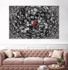 Alone by Vladimir Kostka on GIANT ART - multicolor photography; floral/still life