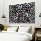 Alone by Vladimir Kostka on GIANT ART - multicolor photography; floral/still life