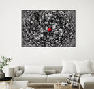 Alone by Vladimir Kostka on GIANT ART - multicolor photography; floral/still life