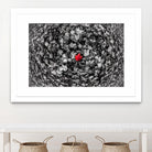 Alone by Vladimir Kostka on GIANT ART - multicolor photography; floral/still life