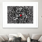 Alone by Vladimir Kostka on GIANT ART - multicolor photography; floral/still life