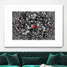 Alone by Vladimir Kostka on GIANT ART - multicolor photography; floral/still life