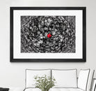 Alone by Vladimir Kostka on GIANT ART - multicolor photography; floral/still life