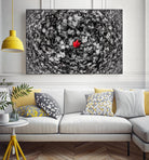 Alone by Vladimir Kostka on GIANT ART - multicolor photography; floral/still life