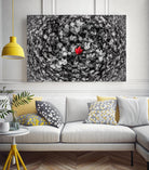 Alone by Vladimir Kostka on GIANT ART - multicolor photography; floral/still life