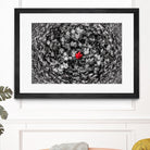 Alone by Vladimir Kostka on GIANT ART - multicolor photography; floral/still life