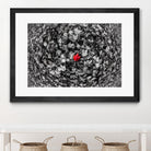 Alone by Vladimir Kostka on GIANT ART - multicolor photography; floral/still life