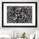 Alone by Vladimir Kostka on GIANT ART - multicolor photography; floral/still life