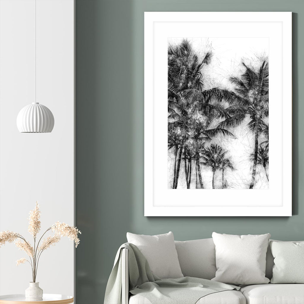 Dorado Palms 1 by Golie Miamee on GIANT ART - multicolor photography; landscapes
