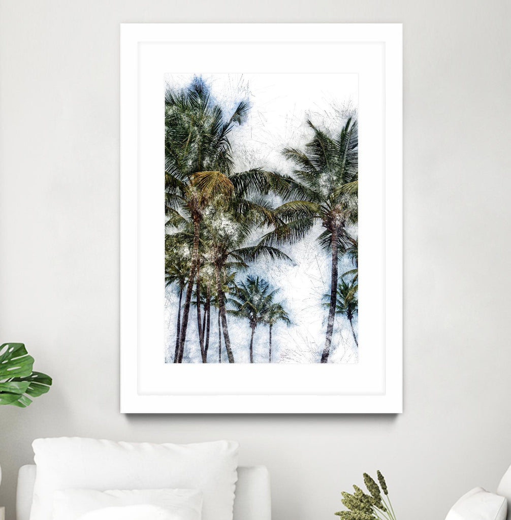 Dorado Palms 2 by Golie Miamee on GIANT ART - multicolor photography; landscapes