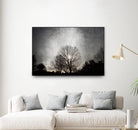 Great Falls Sunset by Golie Miamee on GIANT ART - multicolor photography; landscapes