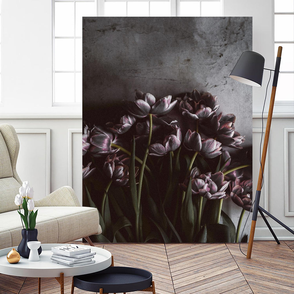Dark Tulips par Design Fabrikken sur GIANT ART - multi floral/still life, photographie, fleurs, tulipes