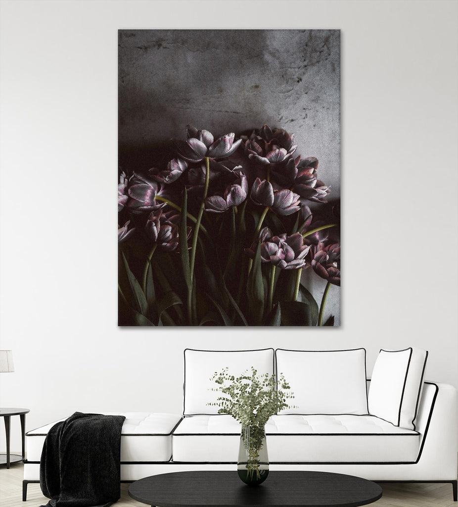 Dark Tulips by Design Fabrikken on GIANT ART - multi floral/still life, photography, flowers, tulips