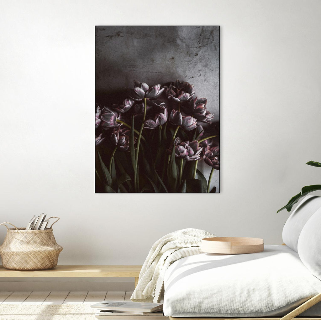 Dark Tulips by Design Fabrikken on GIANT ART - multi floral/still life, photography, flowers, tulips