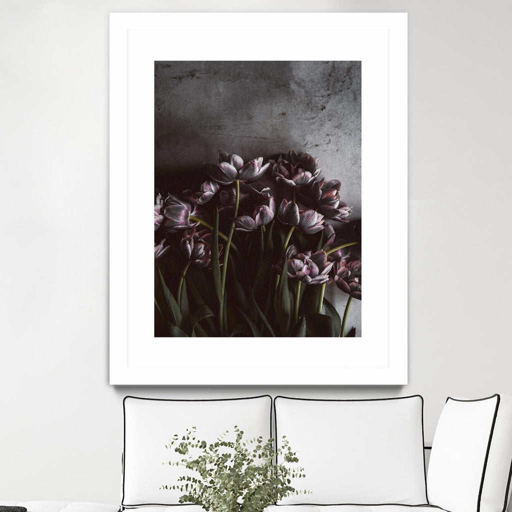 Dark Tulips par Design Fabrikken sur GIANT ART - multi floral/still life, photographie, fleurs, tulipes