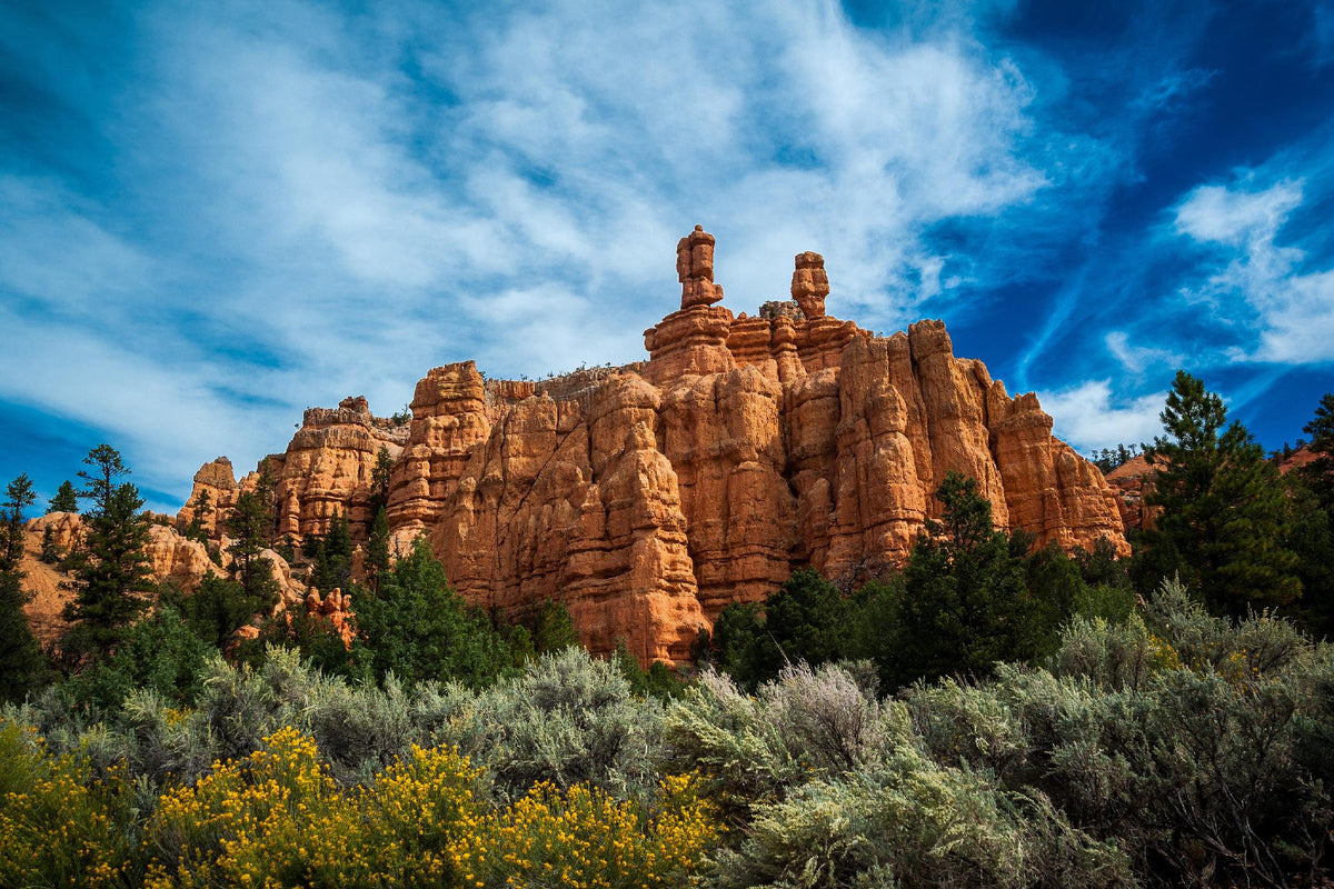 Red Canyon - Art Print by Tim Oldford | GIANT ART