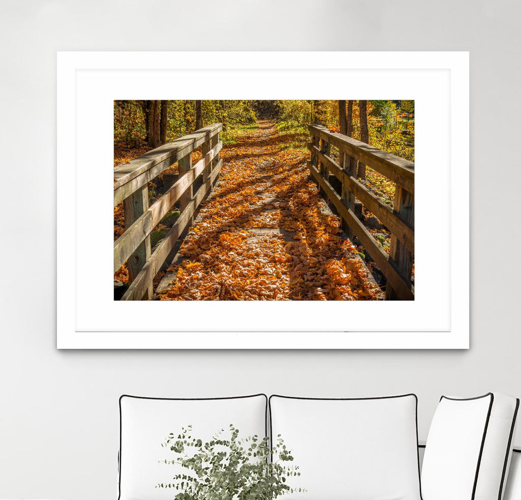 Fall On The Footbridge by Tim Oldford on GIANT ART - multicolor photography; landscapes
