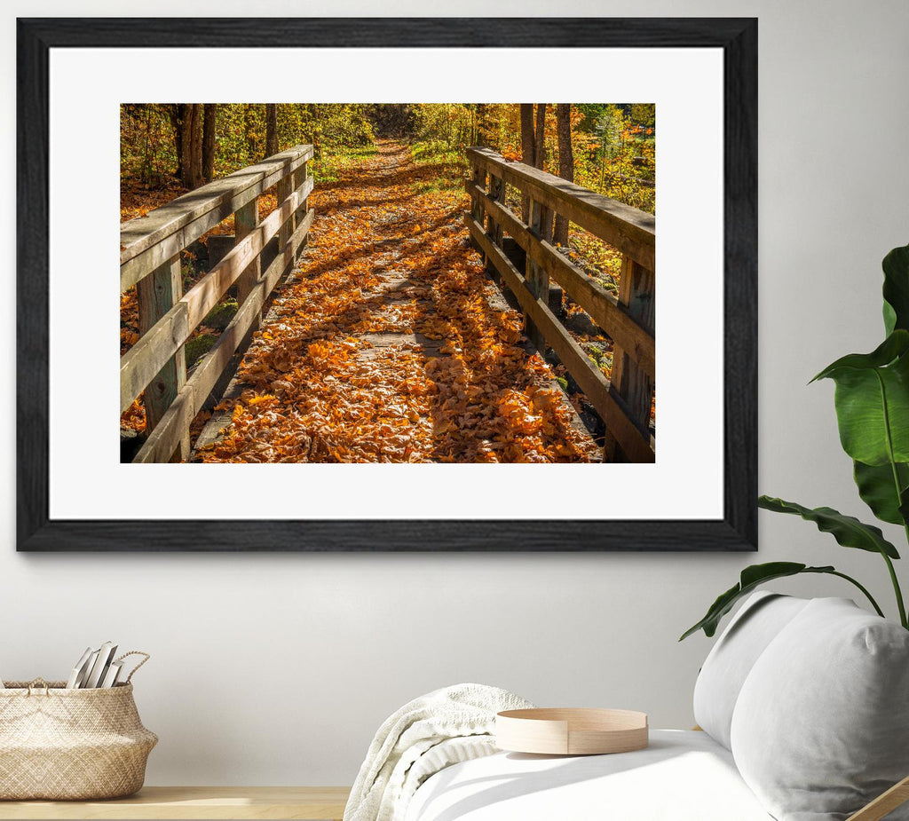 Fall On The Footbridge by Tim Oldford on GIANT ART - multicolor photography; landscapes