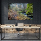 Snow in Fall by Tim Oldford on GIANT ART - multicolor photography; landscapes