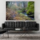 Snow in Fall by Tim Oldford on GIANT ART - multicolor photography; landscapes